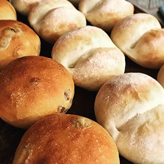 le fournil 木もれび