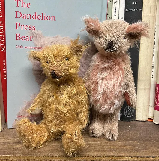 The Dandelion Press Bear